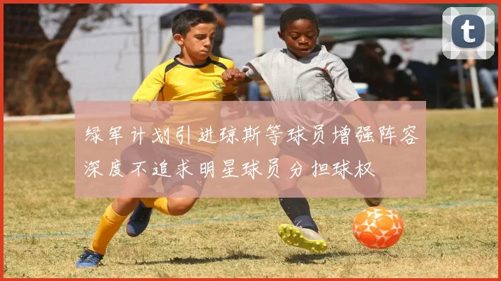 绿军计划引进琼斯等球员增强阵容深度不追求明星球员分担球权