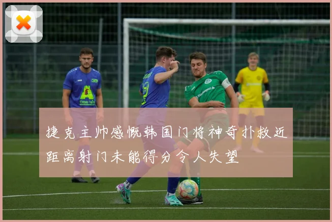 捷克主帅感慨韩国门将神奇扑救近距离射门未能得分令人失望